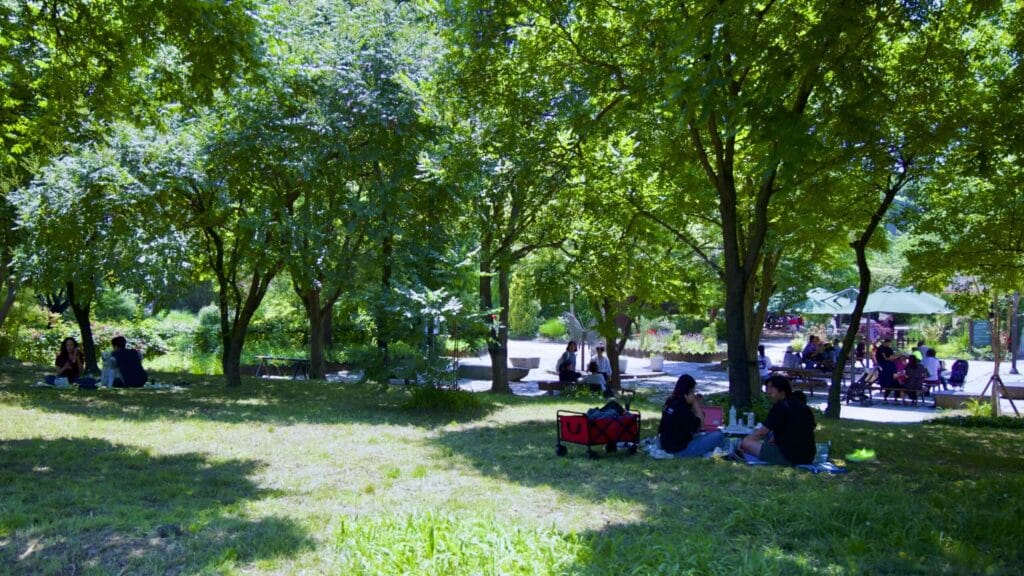A picture of Seoul Forest (서울숲) near Ttukseom Hangang Park (뚝섬한강공원) in the Seongsu Neighborhood (성수동) in Seoul, South Korea.