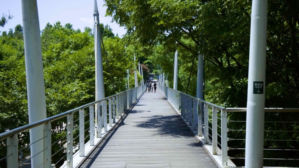 A picture of Seoul Forest (서울숲) near Ttukseom Hangang Park (뚝섬한강공원) in the Seongsu Neighborhood (성수동) in Seoul, South Korea.
