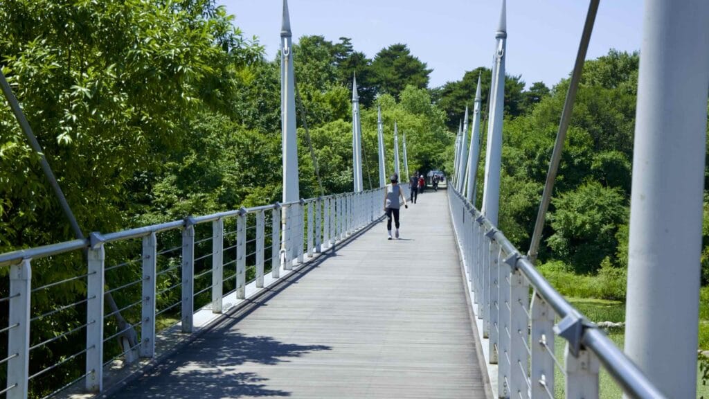 A picture of Seoul Forest Walk Observatory in Seoul Forest (서울숲) near Ttukseom Hangang Park (뚝섬한강공원) in the Seongsu Neighborhood (성수동) in Seoul, South Korea.