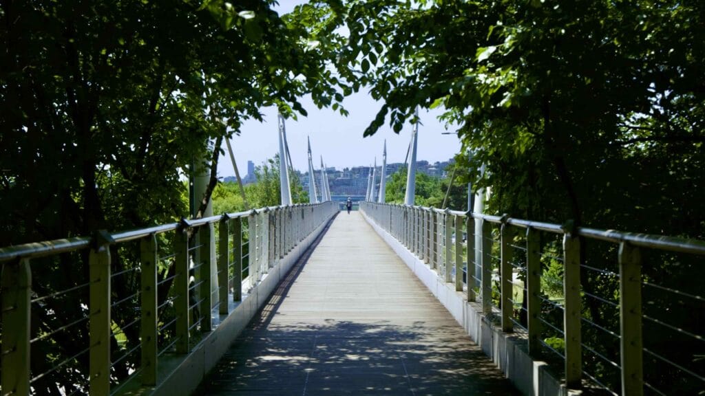A picture of Seoul Forest Walk Observatory in Seoul Forest (서울숲) near Ttukseom Hangang Park (뚝섬한강공원) in the Seongsu Neighborhood (성수동) in Seoul, South Korea.