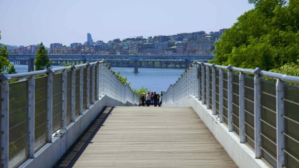 A picture of Seoul Forest Walk Observatory in Seoul Forest (서울숲) near Ttukseom Hangang Park (뚝섬한강공원) in the Seongsu Neighborhood (성수동) in Seoul, South Korea.