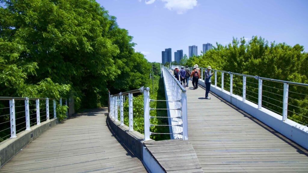 A picture of Seoul Forest Walk Observatory in Seoul Forest (서울숲) near Ttukseom Hangang Park (뚝섬한강공원) in the Seongsu Neighborhood (성수동) in Seoul, South Korea.