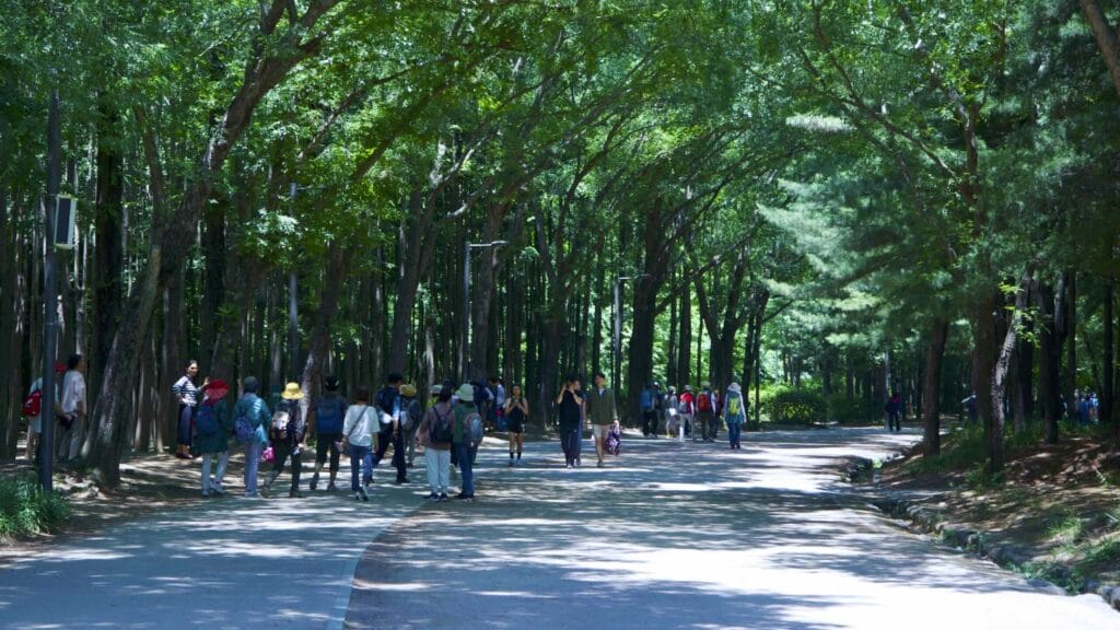 A picture of Seoul Forest (서울숲) near Ttukseom Hangang Park (뚝섬한강공원) in the Seongsu Neighborhood (성수동) in Seoul, South Korea.