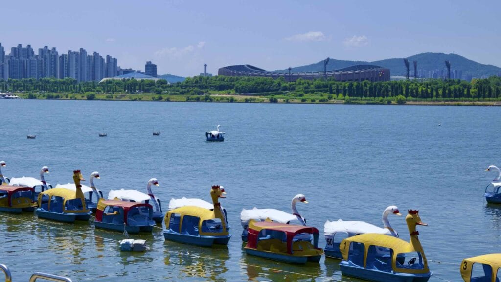 A picture of a swan boats in the Han River near Ttukseom Hangang Park (뚝섬한강공원) in Seoul, south Korea.