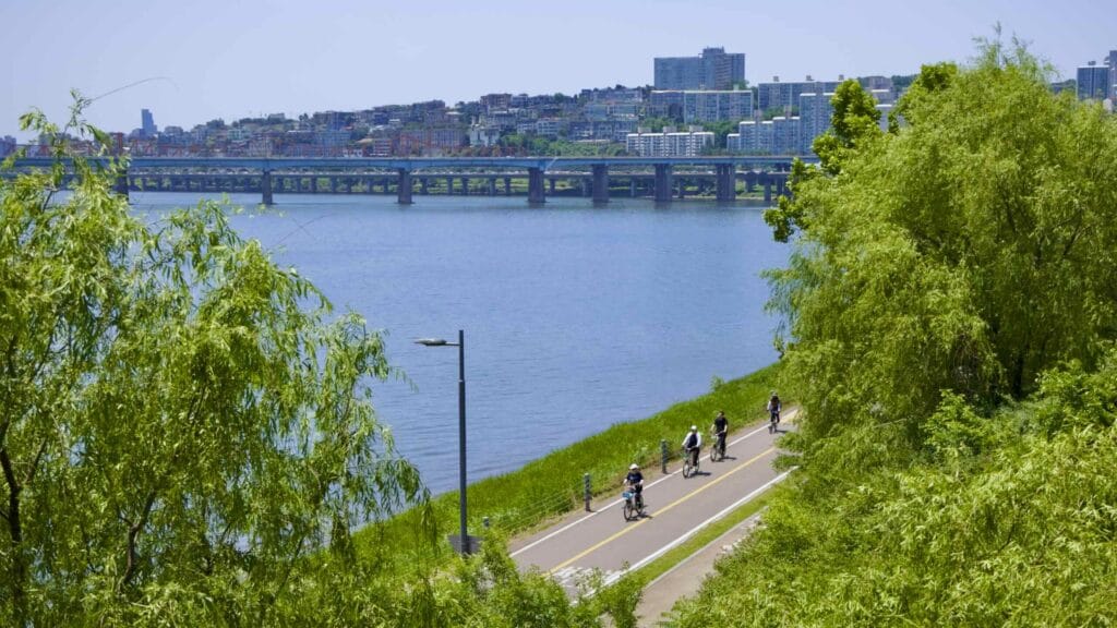 A picture of the bike paths in Ttukseom Hangang Park (뚝섬한강공원), in Seoul, South Korea.