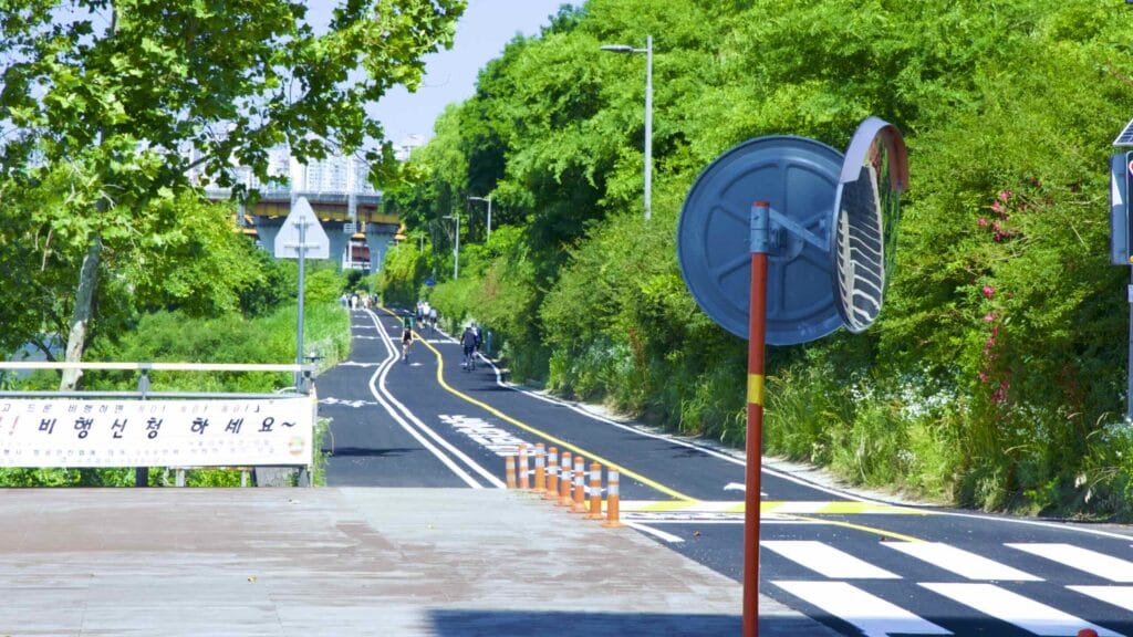 A picture of the bike paths in Ttukseom Hangang Park (뚝섬한강공원), in Seoul, South Korea.
