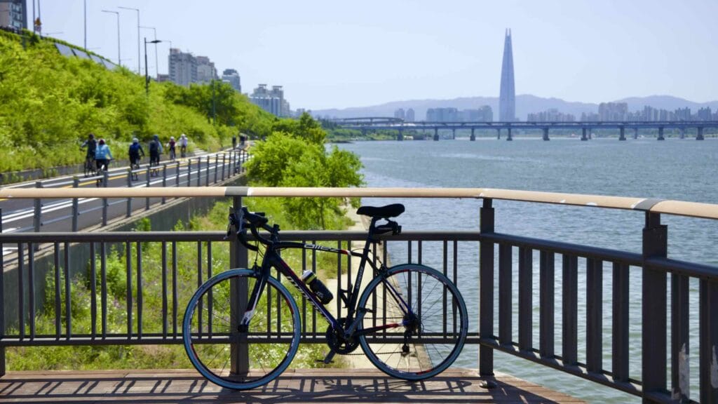 A picture of the bike paths in Ttukseom Hangang Park (뚝섬한강공원), in Seoul, South Korea.