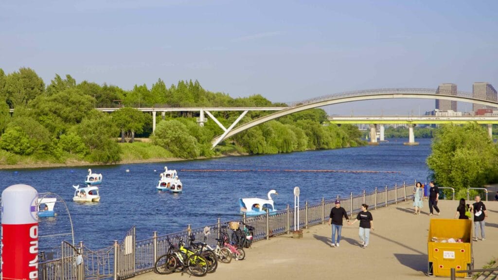 A picture of Seonyu Bridge (선유교) learning to Seonyu Island (선유도) in Yanghwa Hangang Park (양화한강공원) in Seoul, South Korea.