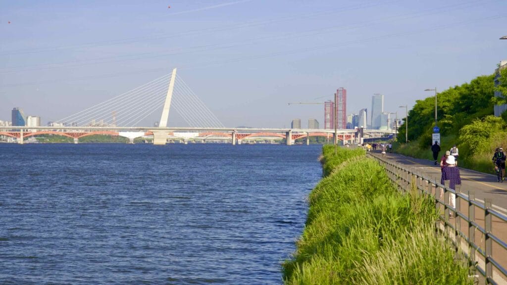 A picture of World Cup Bridge and Yanghwa Hangang Park (양화한강공원) in Seoul, South Korea.