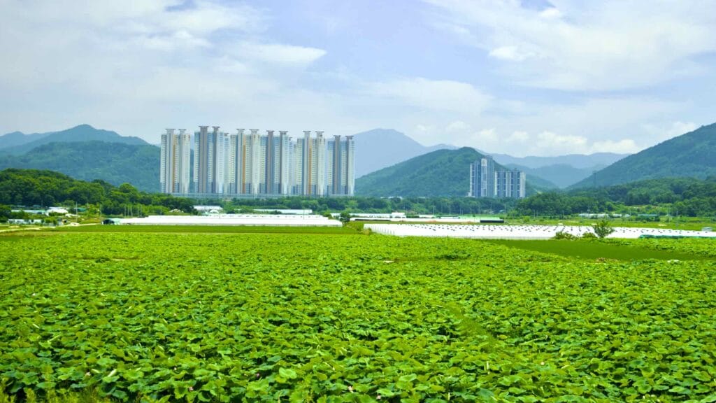 A picture of Nakdonggang Bicycle Path (낙동강자전거길) along Nakdong River in Dalseong County, South Korea.