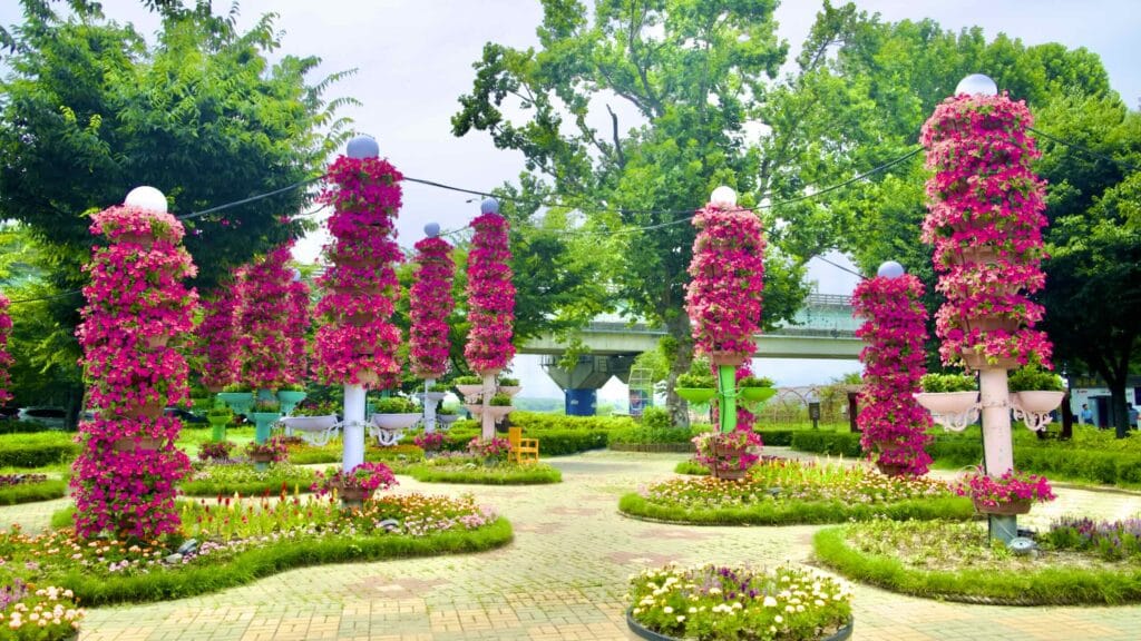 A picture of the Samunjin Ferry (사문진나루터) on the Nakdonggang Bicycle Path (낙동강자전거길) along Nakdong River in Dalseong County, South Korea.