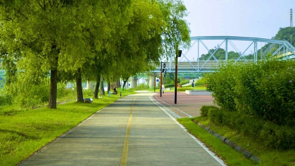 A picture of Patriotic Park (호국공원) near the Bridge of Patriotism (호국의다리) in Waegwan Town along the Nakdonggang Bike Path.