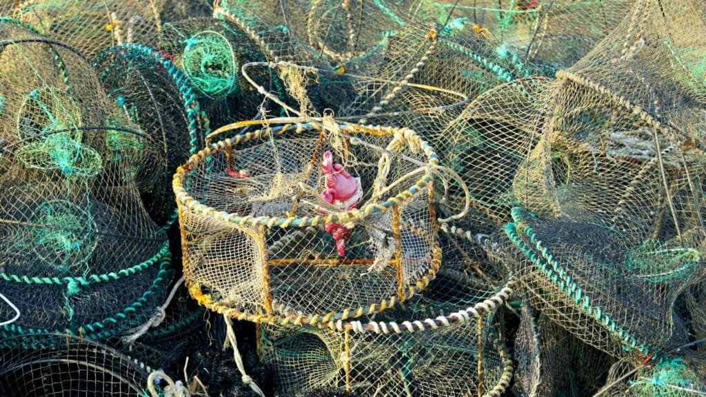 A picture of Gusan Port (구산항) along the Gyeongbuk (East Coast) Bicycle Path (동해안자전거길 (경북)) in Uljin County (울진군), South Korea.