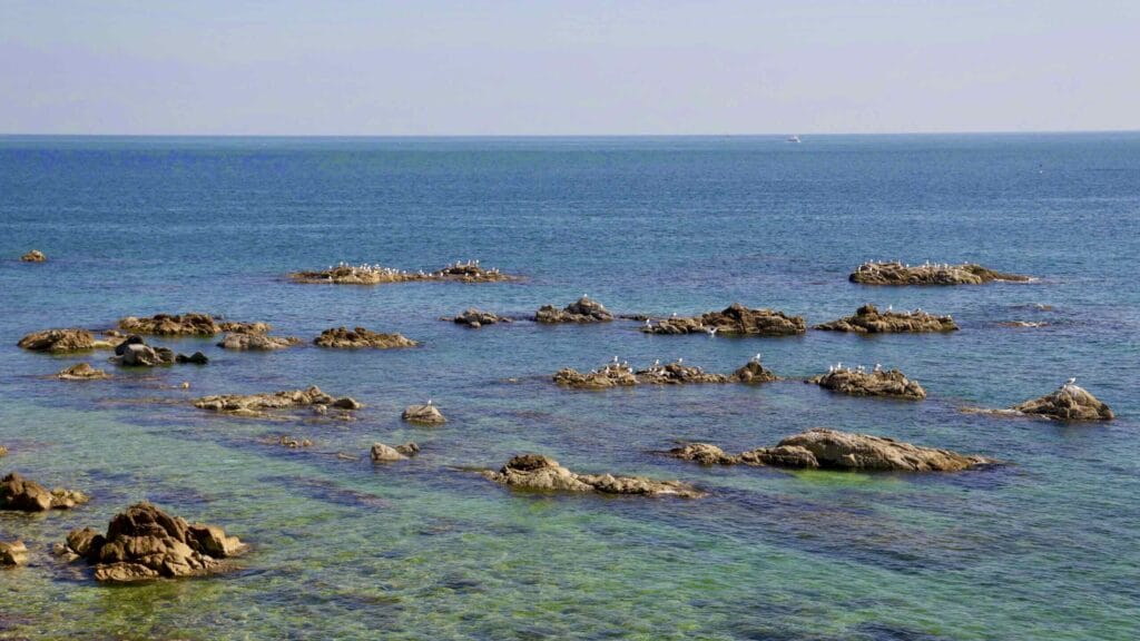 A picture of Jukbyeon Port (죽변항) along the Gyeongbuk (East Coast) Bicycle Path (동해안자전거길 (경북)) in Uljin County (울진군), South Korea.