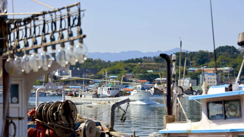 A picture of Jukbyeon Port (죽변항) along the Gyeongbuk (East Coast) Bicycle Path (동해안자전거길 (경북)) in Uljin County (울진군), South Korea.