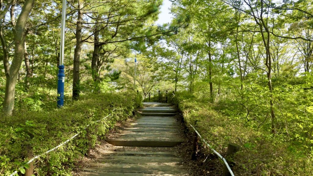A picture of at walking path near Mangyang Pavilion Sunrise Square (망양정해맞이광장) along the Gyeongbuk (East Coast) Bicycle Path (동해안자전거길 (경북)) in Uljin County (울진군), South Korea.