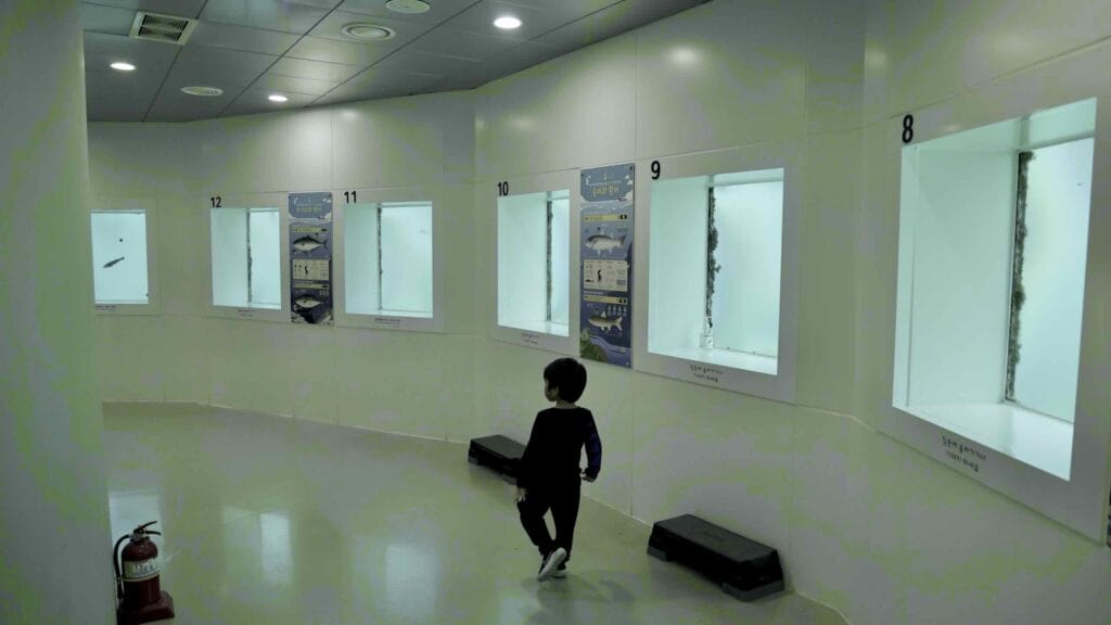 A picture of the National Maritime Science Museum (국립해양과학관) in Jukbyeon Port (죽변항) along the Gyeongbuk (East Coast) Bicycle Path (동해안자전거길 (경북)) in Uljin County (울진군), South Korea.