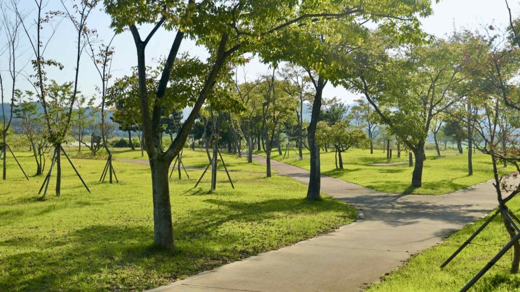 A picture of Uljin Wangpi Stream Eco Park (울진왕피천생태공원) along the Gyeongbuk (East Coast) Bicycle Path (동해안자전거길 (경북)) in Uljin County (울진군), South Korea.