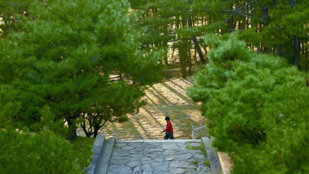 A picture of Wolsong Pavilion (월송정) along the Gyeongbuk (East Coast) Bicycle Path (동해안자전거길 (경북)) in Uljin County (울진군), South Korea.