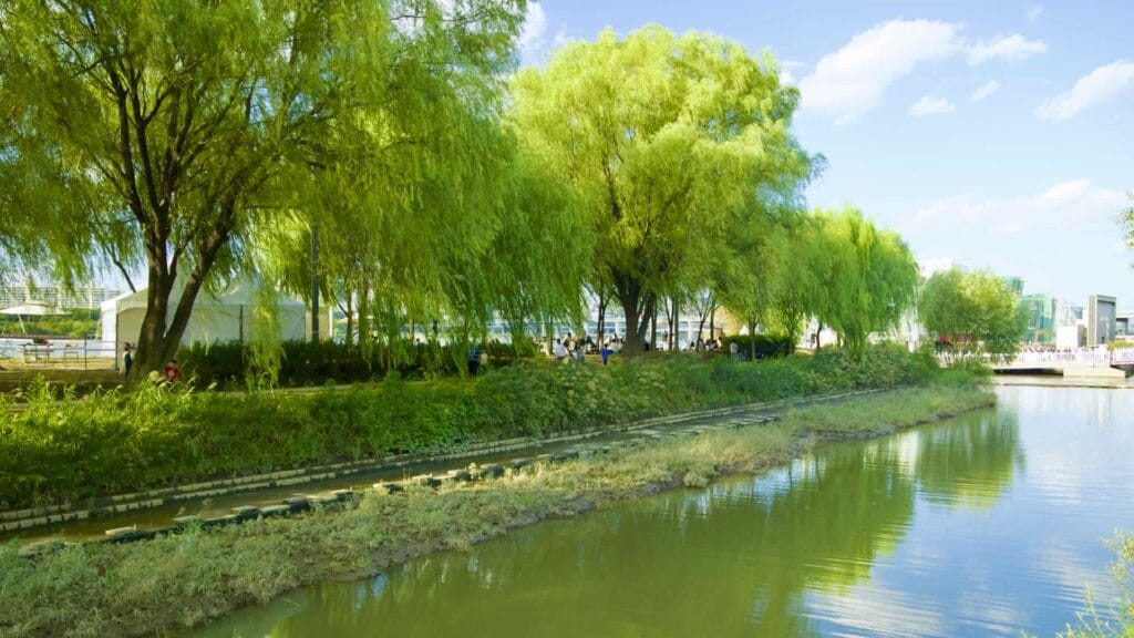 A picture of the Seorae Island (서래섬) in Banpo Hangang Park (반포한강공원) in Seoul, South Korea.