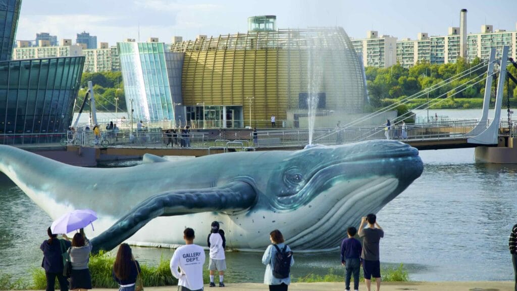A picture of Some Sevit (세빛섬) in Banpo Hangang Park (반포한강공원) in Seoul, South Korea.