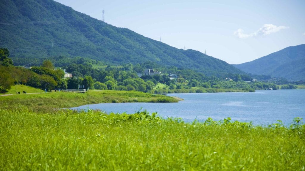 A picture of the Hangang Bike Path (한강 자전거길) in Namyangju City (남양주시) South, Korea.
