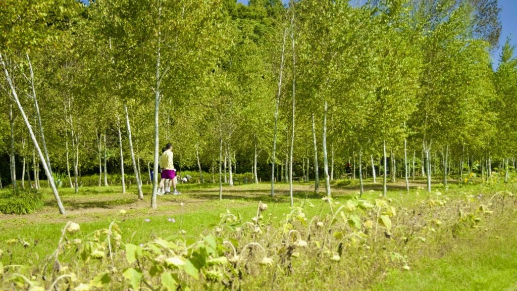 A picture of Namyangju Han River Park (남양주한강공원) on the Hangang Bike Path (한강 자전거길) in Namyangju City (남양주시) South, Korea.