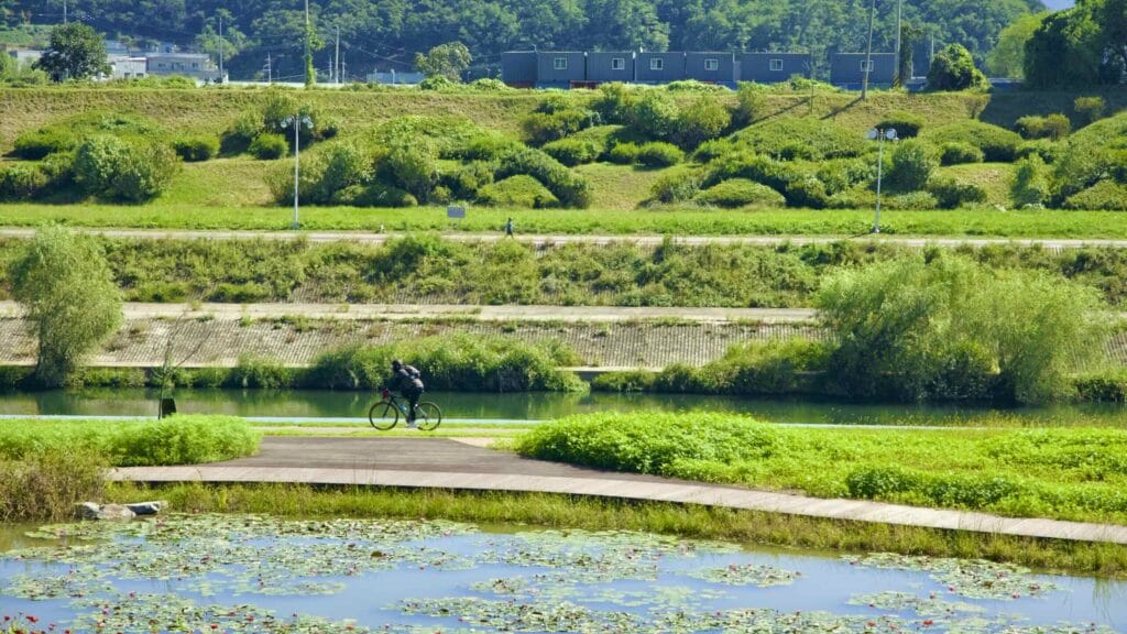 A picture of Wangsuk Stream (왕숙천) on the Hangang Bike Path (한강 자전거길) in Guri City (구리시) South, Korea.