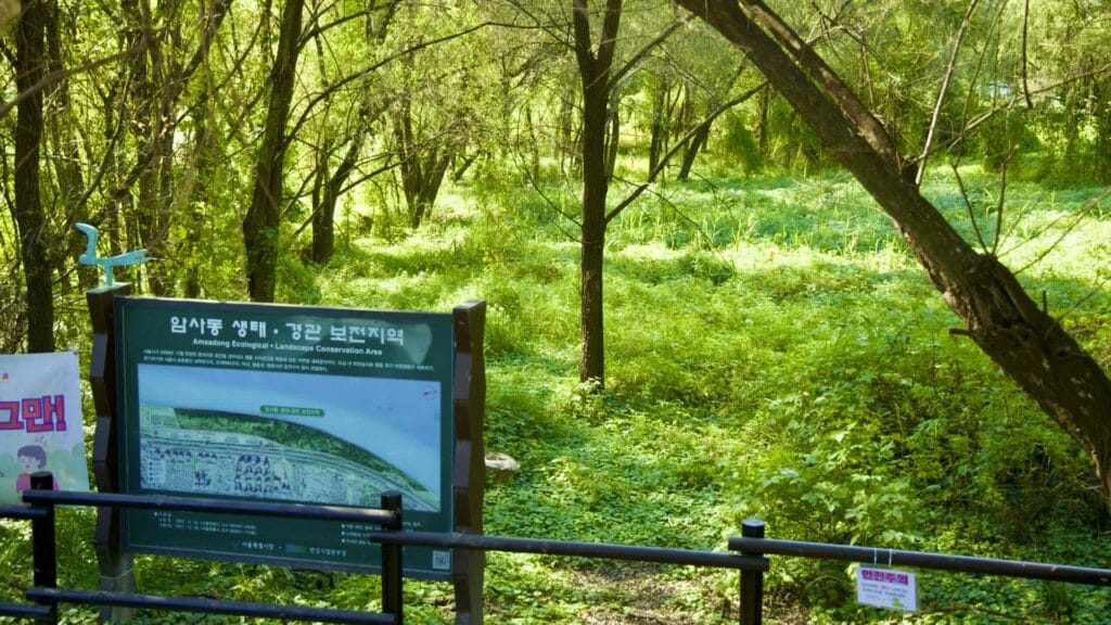 A picture of Amsa Ecological Park (암사생태공원) in Gwangnaru Hangang Park (광나루한강공원) in Seoul, South Korea.
