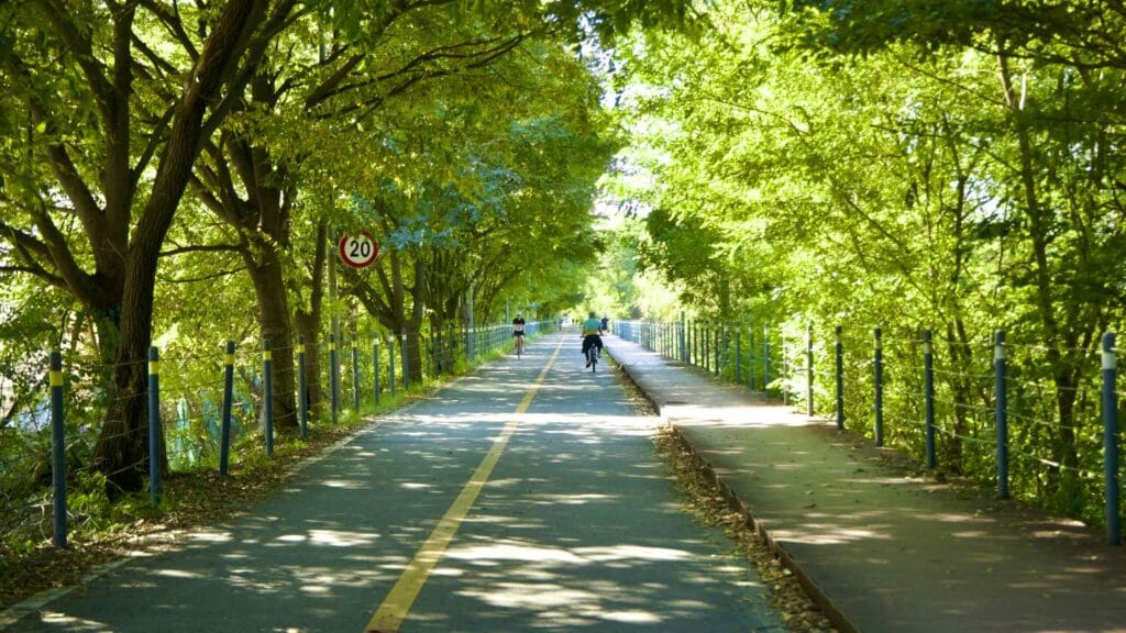 A picture of Godeok Ecological Park (고덕수변생태공원) in Gwangnaru Hangang Park (광나루한강공원) in Seoul, South Korea.