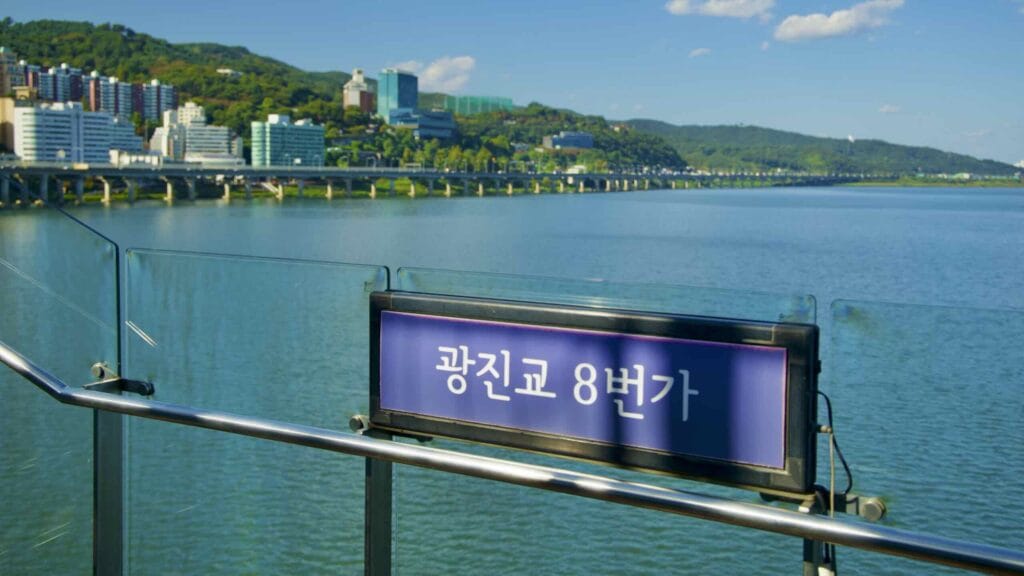 A picture of Riverview 8th Avenue (광진교 8번가) under Gwangjin Bridge (광진교) near Gwangnaru Hangang Park (광나루한강공원) in Seoul, South Korea.