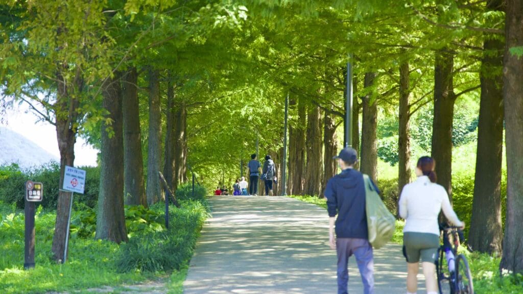 A picture of Deokpung Stream (덕풍천) on the Hangang Bike Path (한강 자전거길) in Hanam City (하남시) South, Korea.