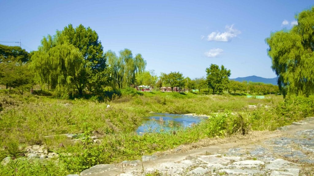 A picture of Deokpung Stream (덕풍천) on the Hangang Bike Path (한강 자전거길) in Hanam City (하남시) South, Korea.