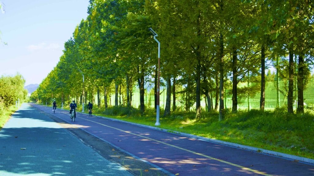 A picture of the Hangang Bike Path (한강 자전거길) in Hanam City (하남시) South, Korea.