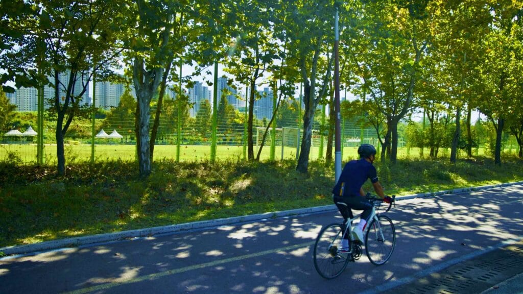 A picture of the Hangang Bike Path (한강 자전거길) in Hanam City (하남시) South, Korea.