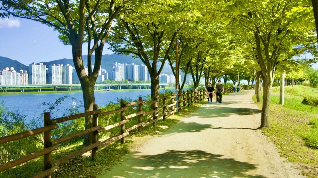 A picture of the split-lane bike path on the Hangang Bike Path (한강 자전거길) in Hanam City (하남시) South, Korea.