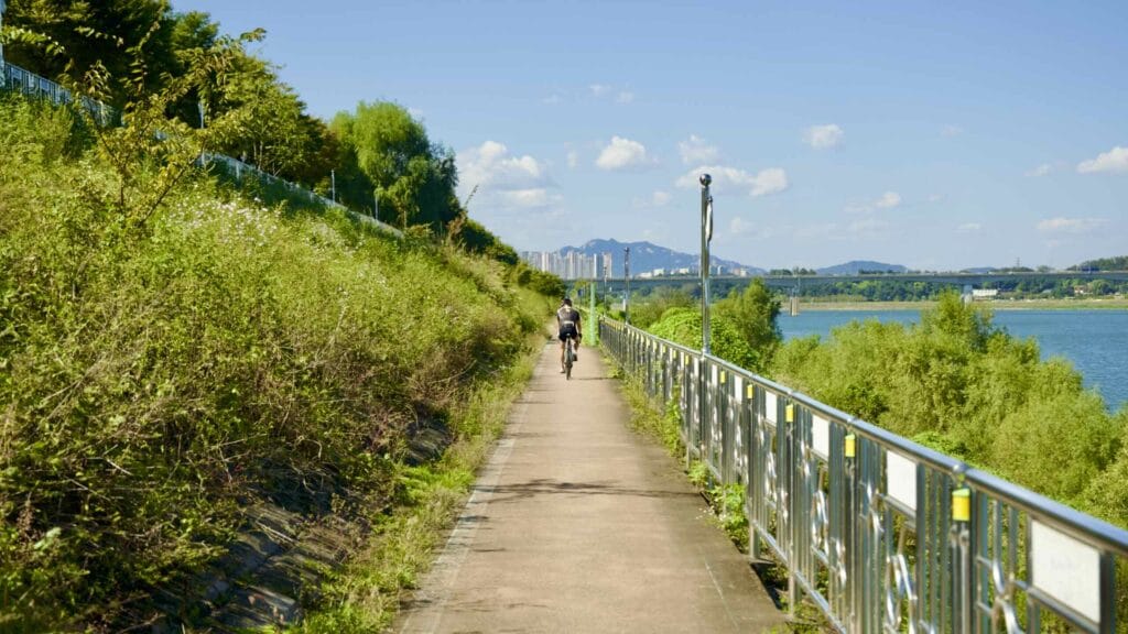 A picture of the split-lane bike path on the Hangang Bike Path (한강 자전거길) in Hanam City (하남시) South, Korea.