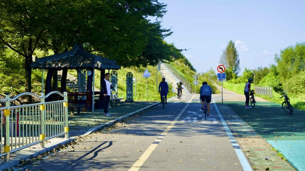 A picture of the split-lane bike path on the Hangang Bike Path (한강 자전거길) in Hanam City (하남시) South, Korea.