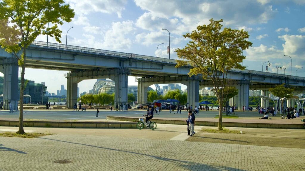 A picture of the bike path in Jamwon Hangang Park (잠원한강공원) in Seoul, South Korea.