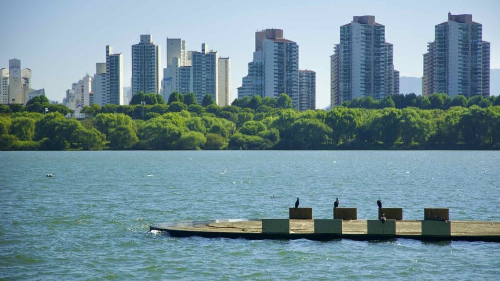 A picture of Amsa Ecological Park (암사생태공원) in Gwangnaru Hangang Park (광나루한강공원) in Seoul, South Korea.