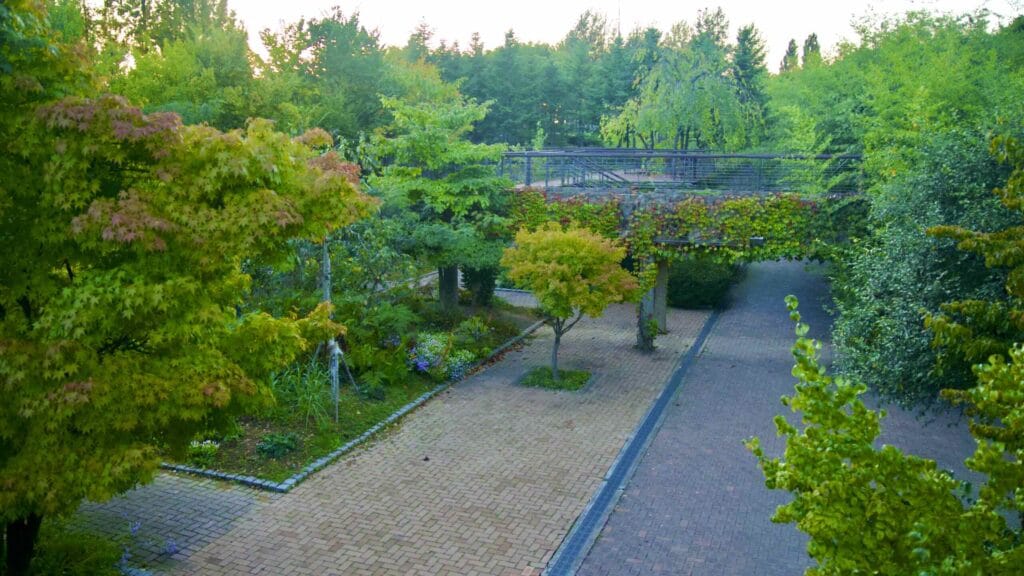 A picture of Seonyu Island Park (선유도공원) in the Han River near Yanghwa Hangang Park (양화한강공원) in Seoul, South Korea.