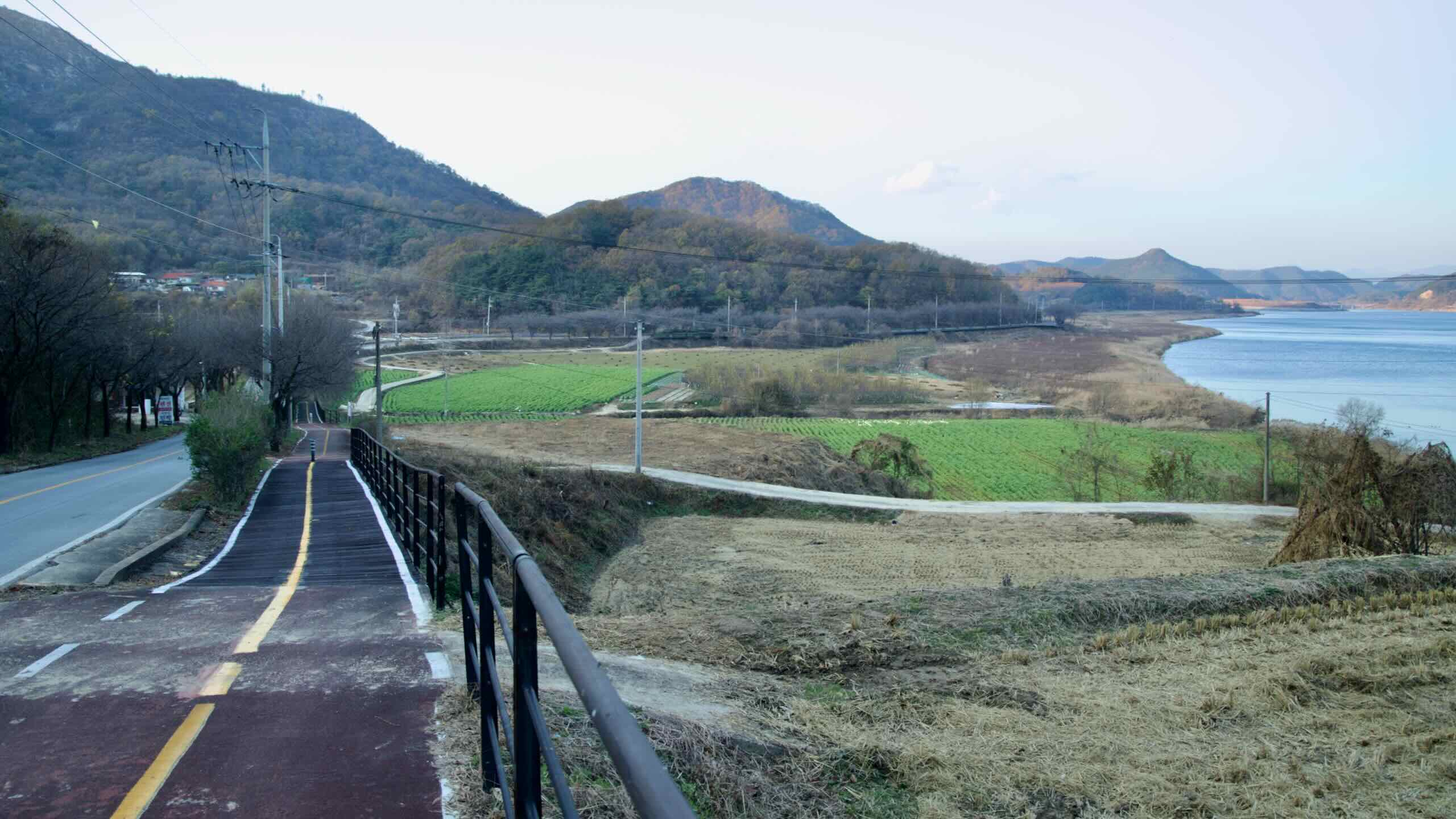 The meandering Saejae Bike Path slices through lush farmlands near the confluence of the Yeong and Nakdong Rivers.