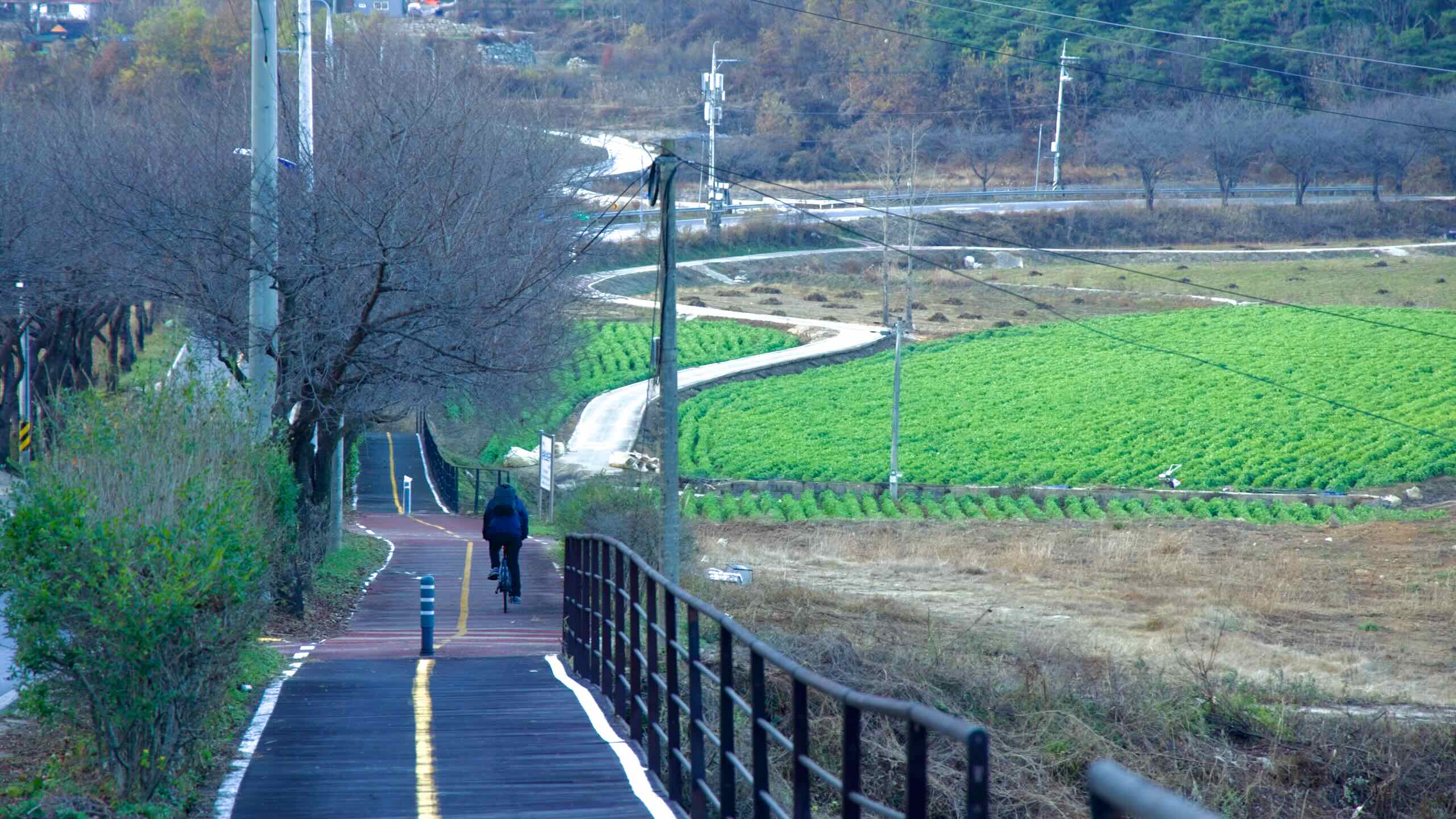 Saejae Bike Path - Bike Chungju to Sangju - Sangpung Bridge Bike Path Farm Roads