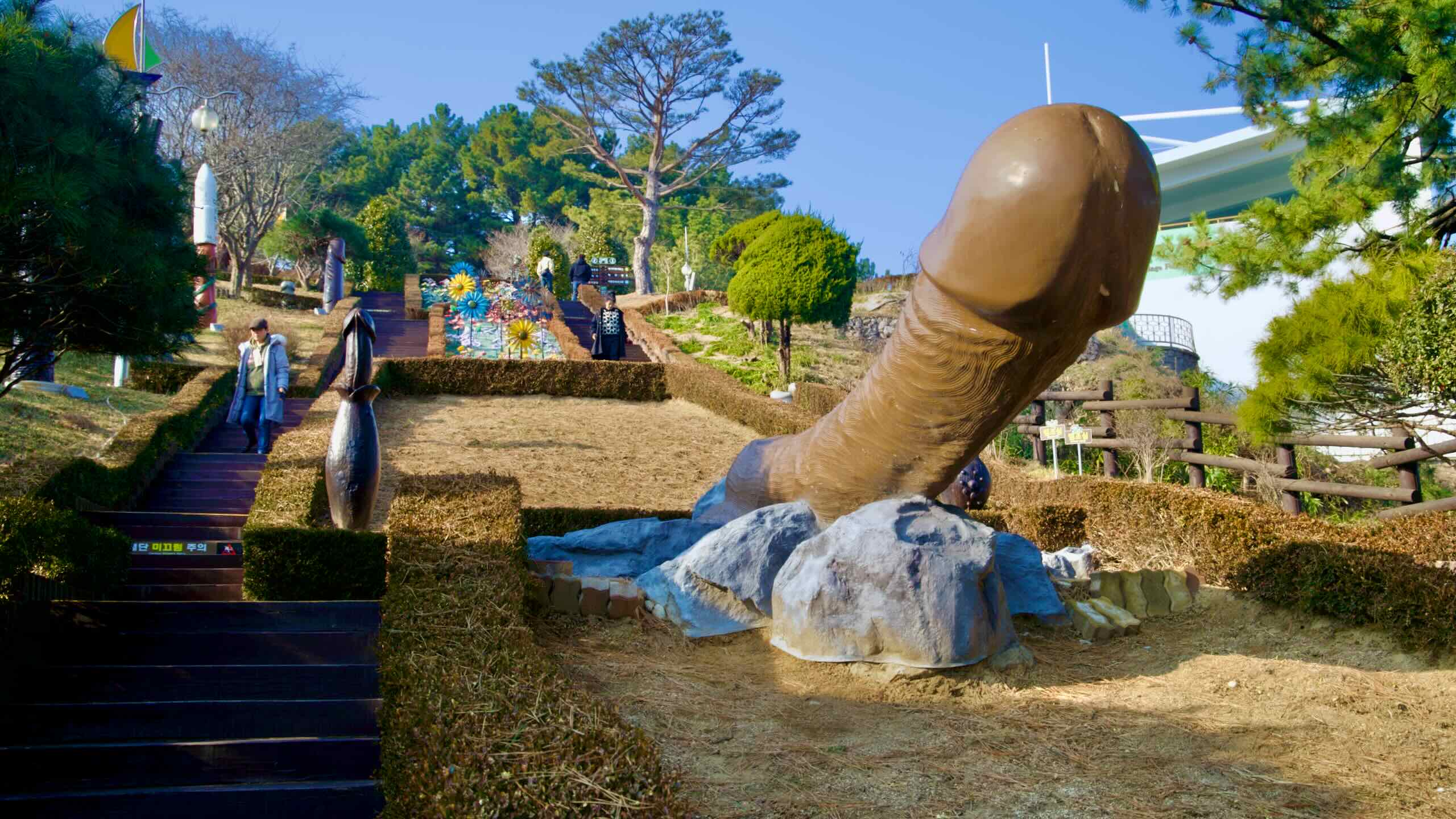 A striking giant penis sculpture centered in a tiered courtyard at Haesindang Park, flanked by grassy slopes and steps, with whimsical whirlygigs at the top, under a clear blue sky.