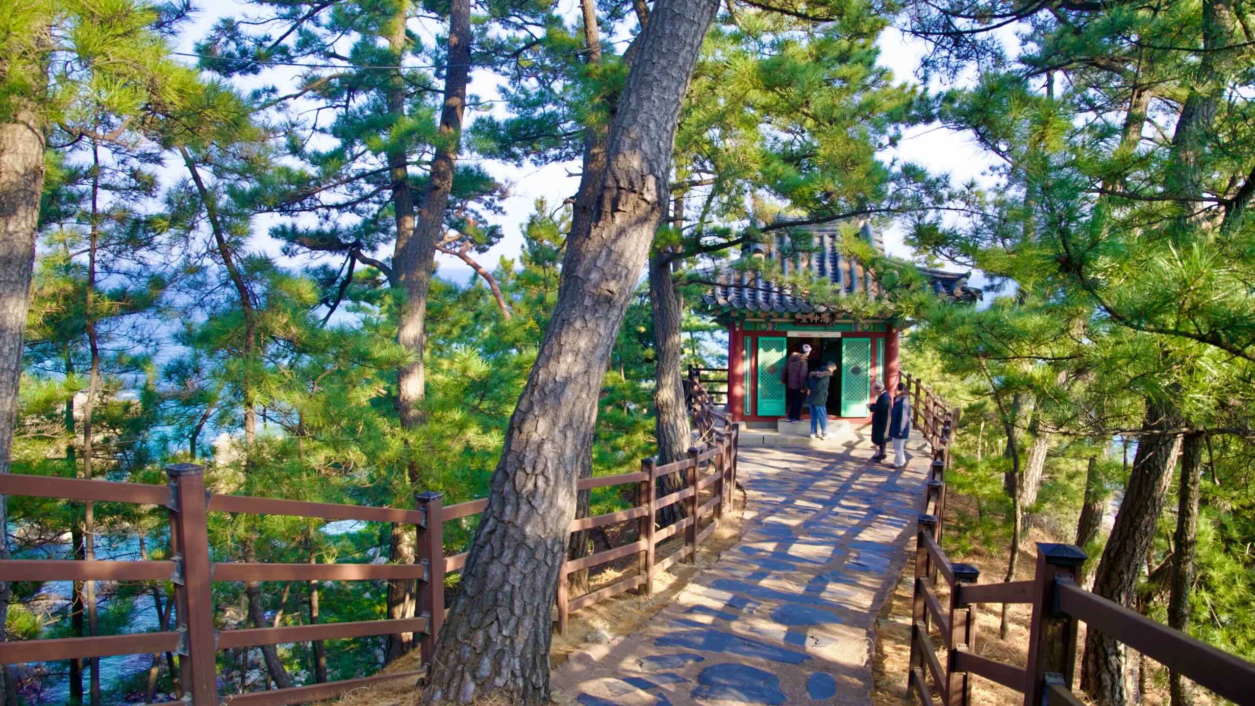 A small, tranquil shrine dedicated to the lost maiden, located at the end of a hiking path at the bottom of Haesindang Park, surrounded by pine trees, with people standing at its entrance.