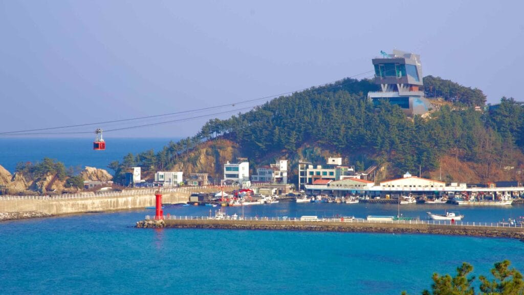 From a hillside vantage point, the Samcheok Marine Cable Car cables stretch over the calm bay of Jangho Port.