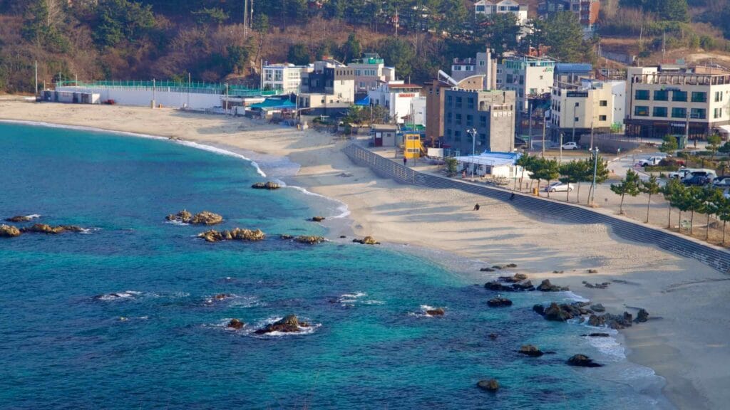 A look from the hillside captures Jangho Beach's detailed charm, highlighting the interplay of rock formations with the fine sandy shore and the inviting blue waters, alongside the beach's adjacent buildings.