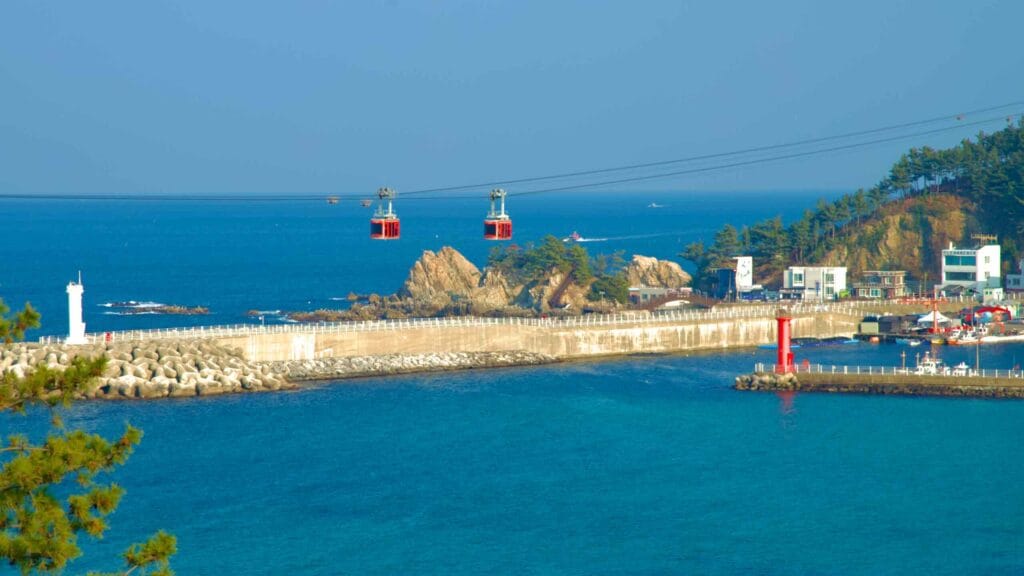 Jangho Bay