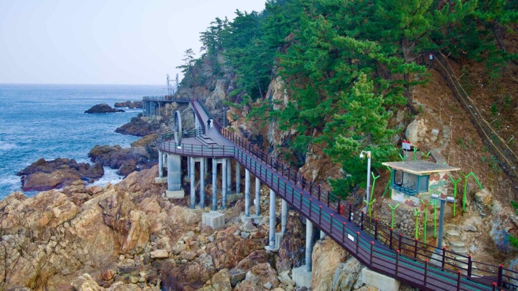 From an observatory's peak, the Chogok Yonggul Cave Hiking Trail unfolds, a metal-supported walking path over a rocky coastline, with an old military lookout post nestled on the hillside.