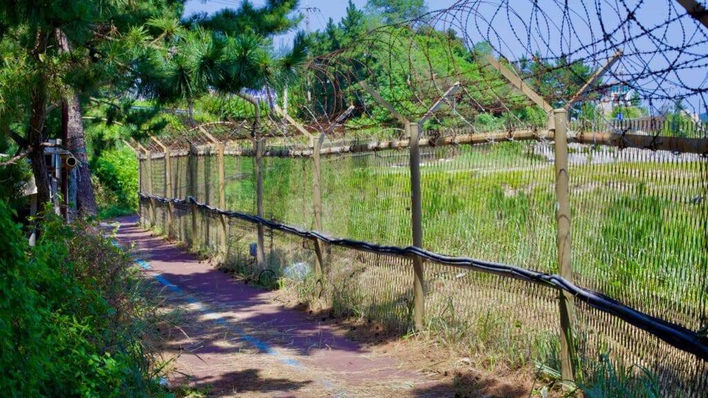 A bike path, marked with a blue line, runs alongside a chain-linked fence topped with barbed wire near Banam Port.